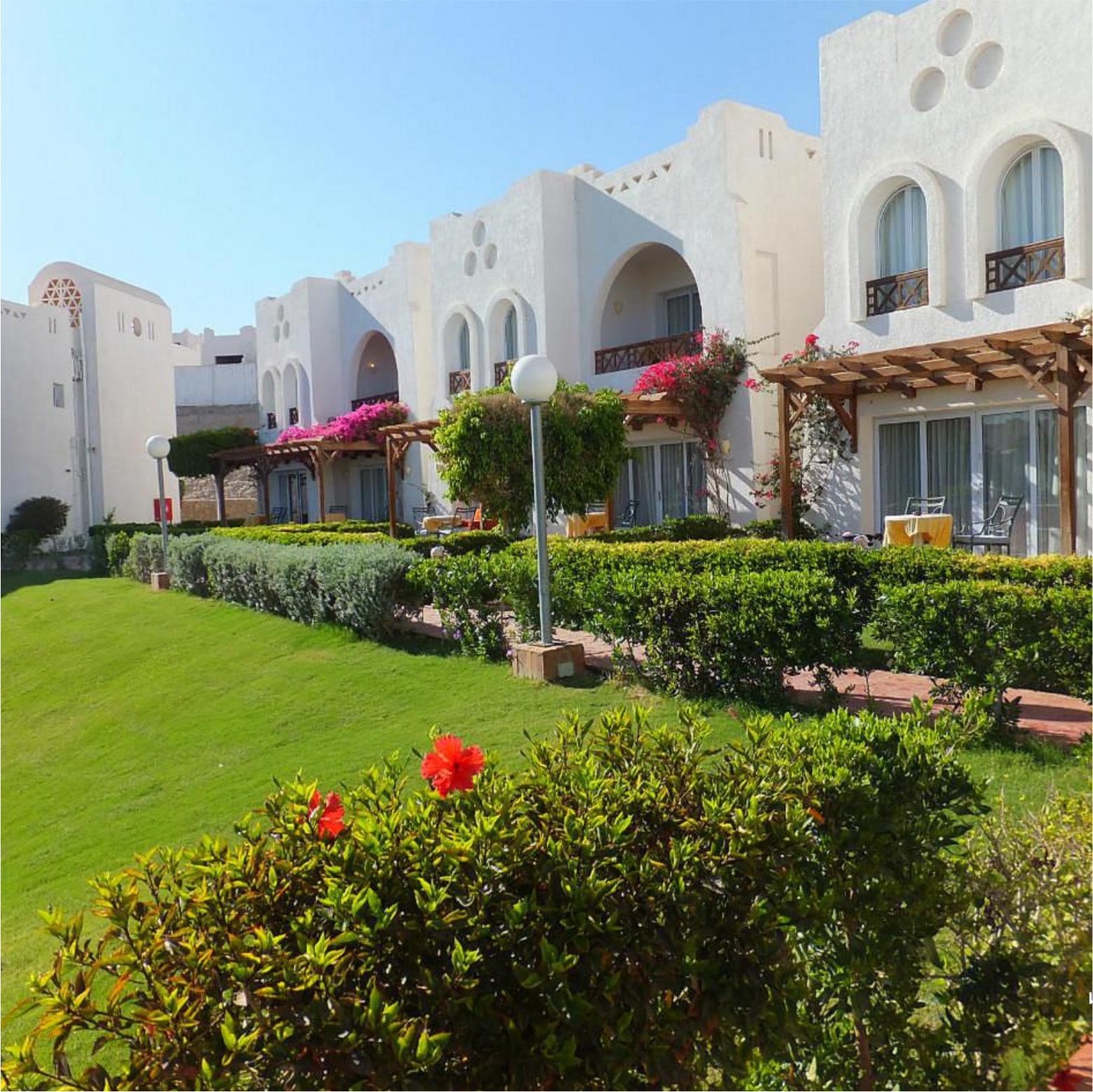 Hilton Sharm Dreams Resort лужайка